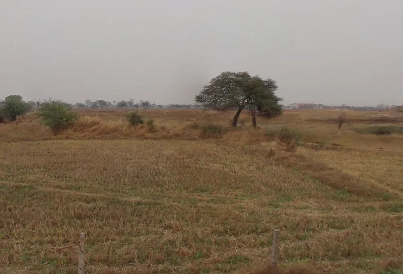 Tuiyapani, Madhya Pradesh, India preview 3