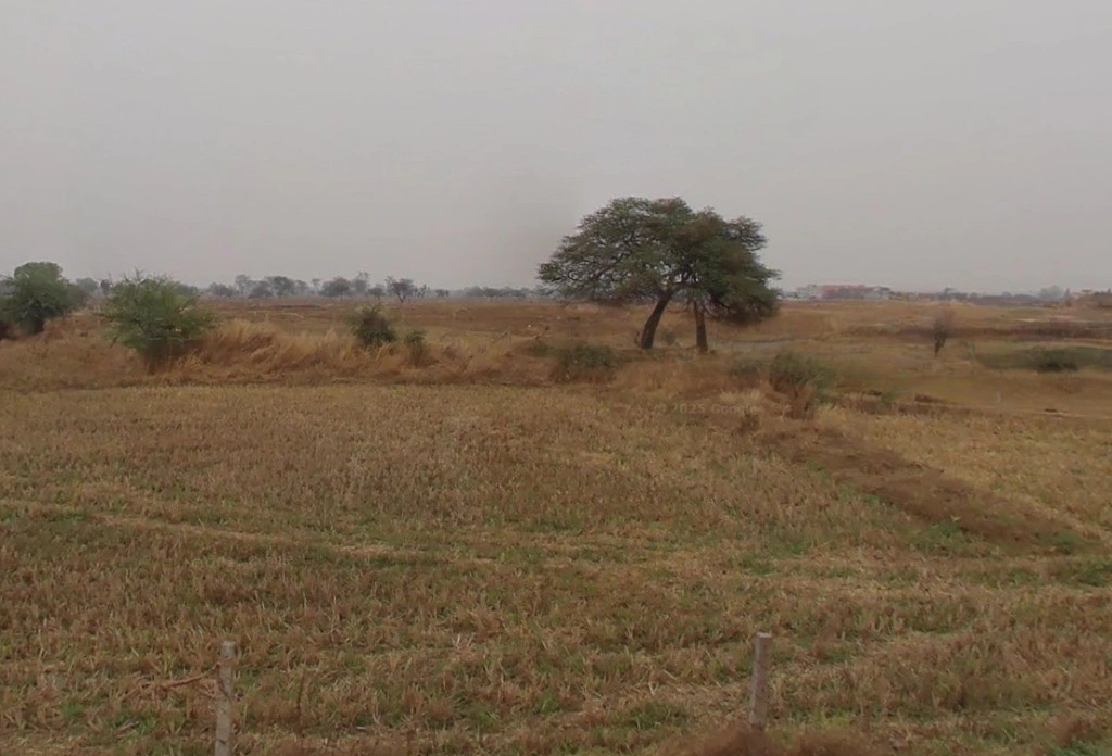 Tuiyapani, Madhya Pradesh, India