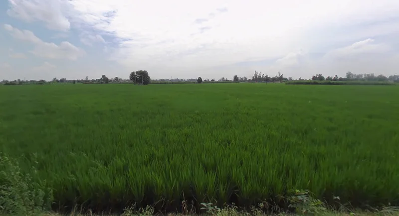 Jagraon, Punjab 142026, India preview 2