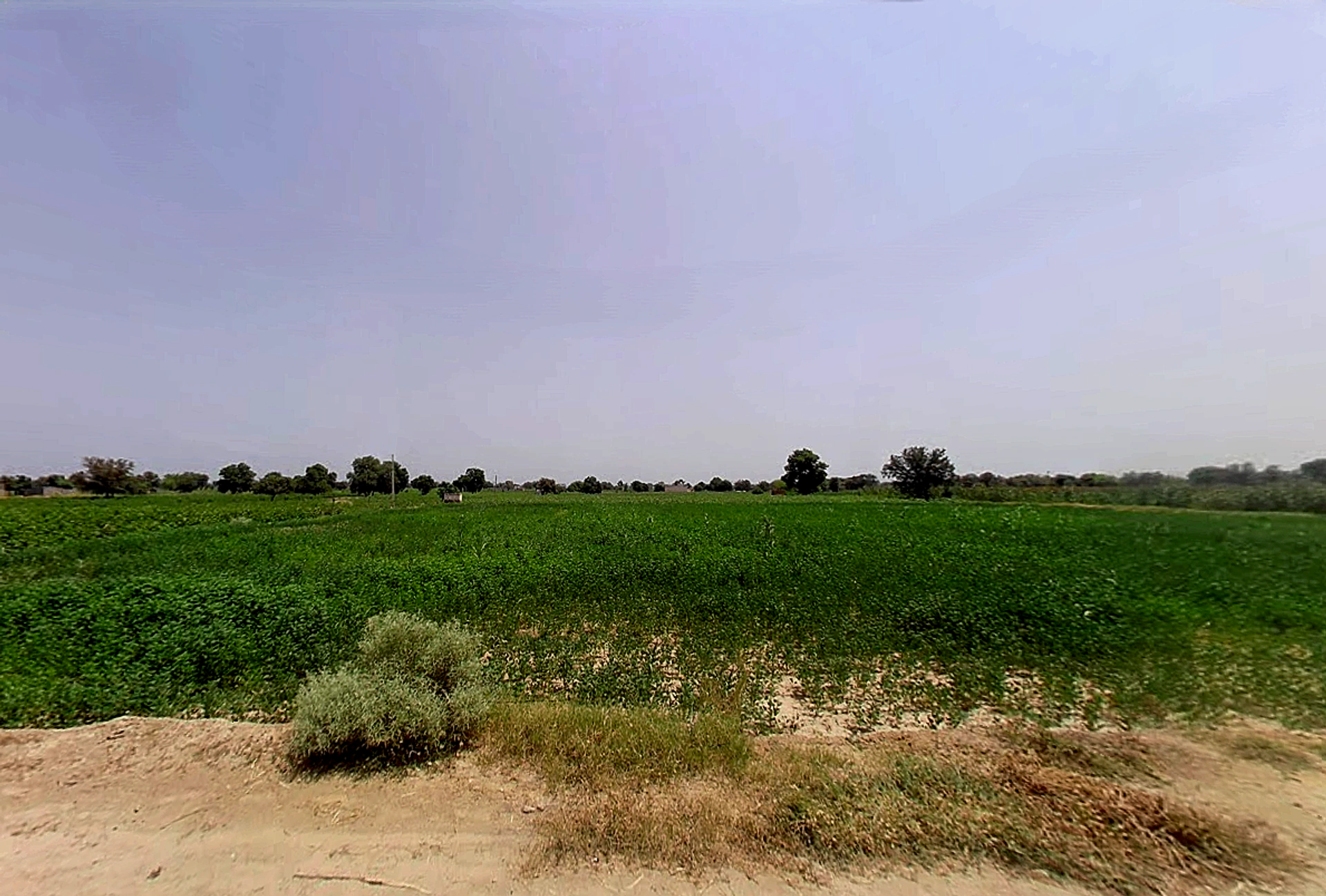 Chhani Badi, Rajasthan 335511, India