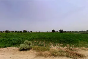 Chhani Badi, Rajasthan 335511, India preview 2