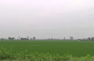 F4HC+5F Kalyanpur, Uttar Pradesh, India preview 3