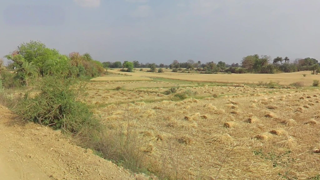 Newsa, Chhattisgarh 495442, India