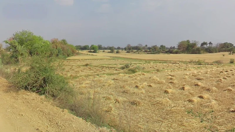 Newsa, Chhattisgarh 495442, India preview 2