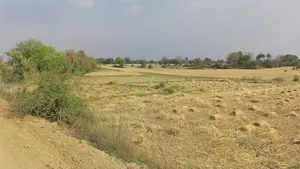 Newsa, Chhattisgarh 495442, India preview 2