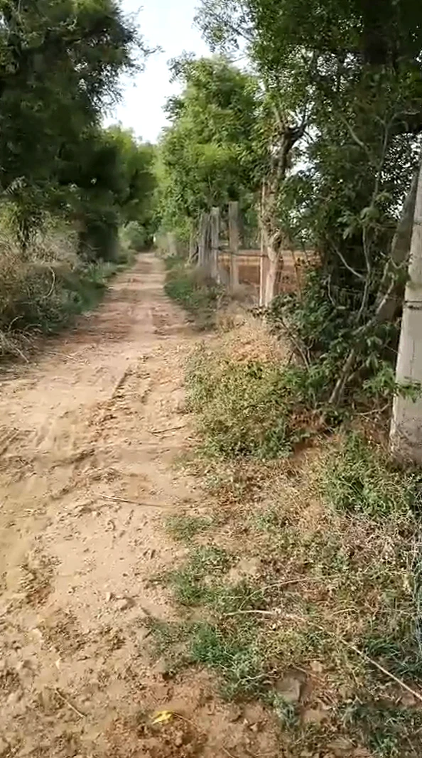6MVF+G4 Machari, Rajasthan, India