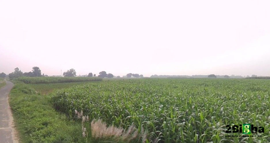 Kanpur - Allahabad Hwy, Maharajpur, Uttar Pradesh, India