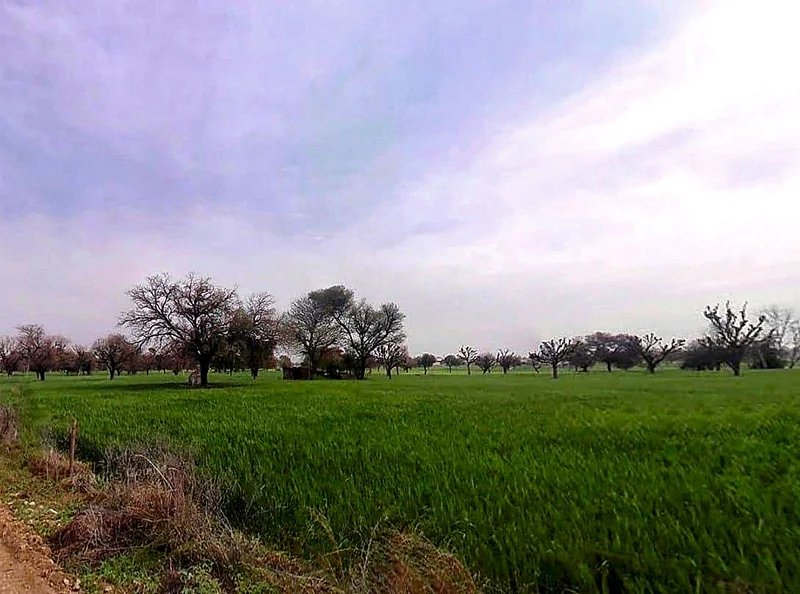 Bagru, Rajasthan 303007, India preview 3