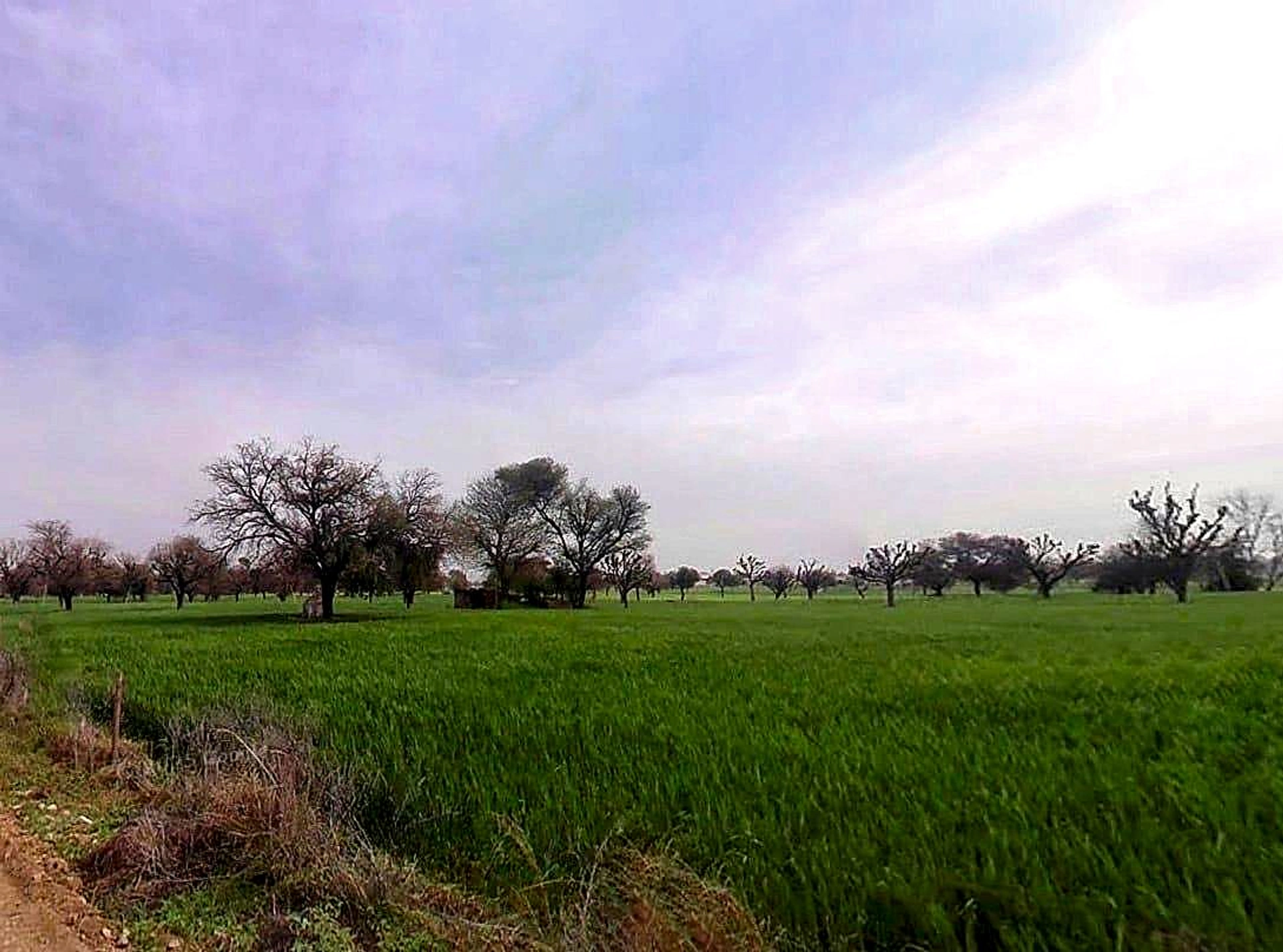 Bagru, Rajasthan 303007, India