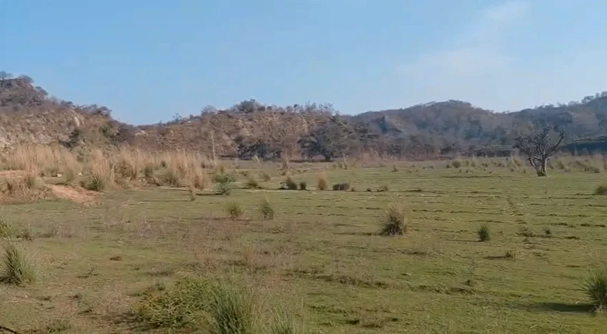 Naraingarh, Haryana 134203, India