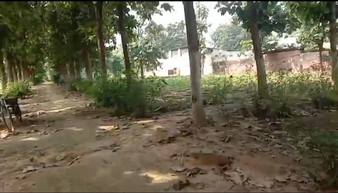 Chunar, Mirzapur, Uttar Pradesh 231304, India