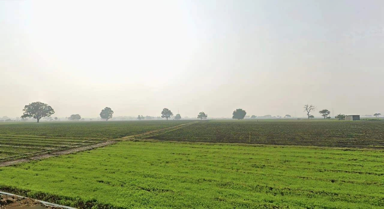 Khategaon, Madhya Pradesh 455336, India