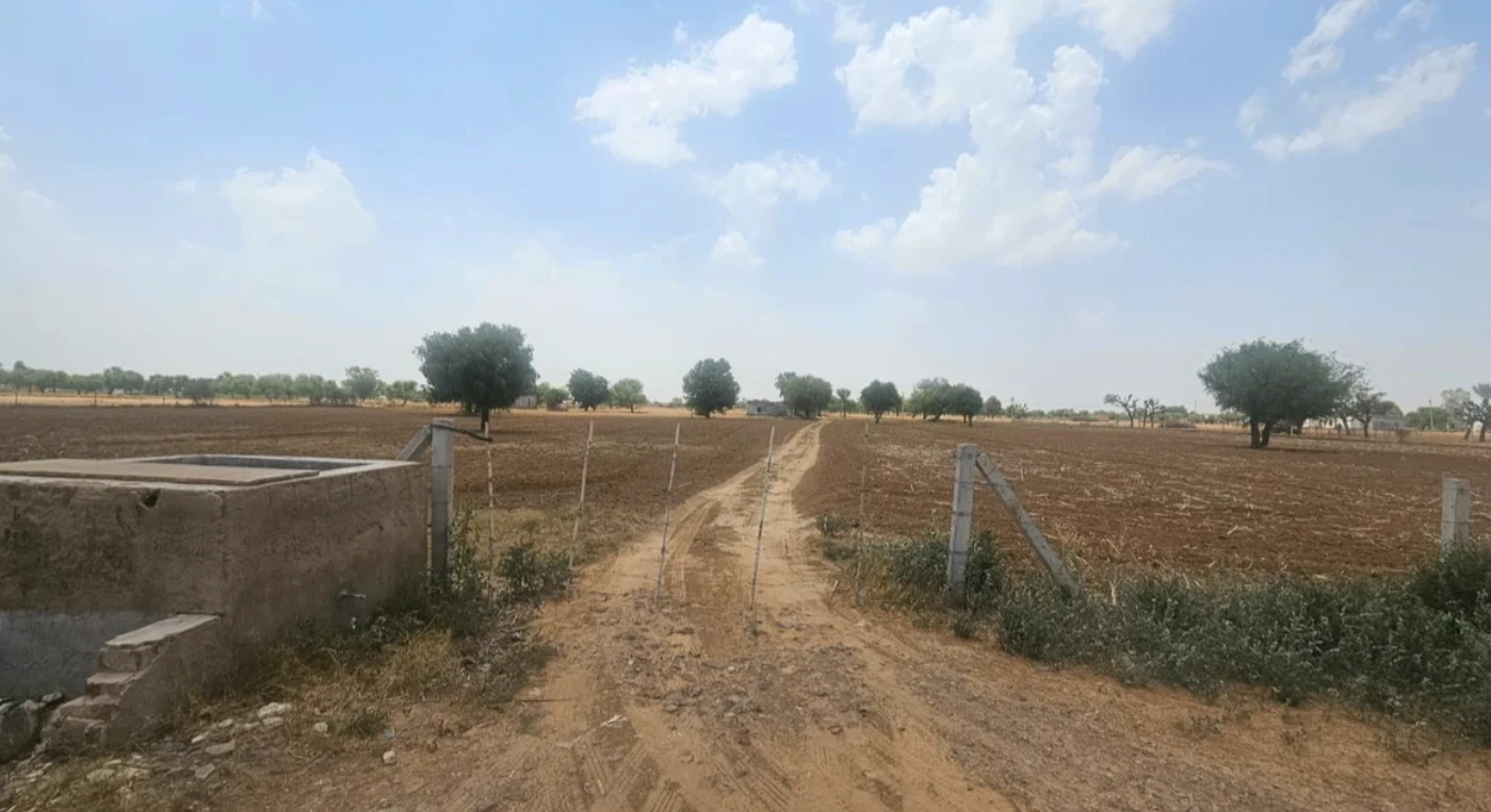 Surajgarh, Jhunjhunu, Rajasthan 333029, India