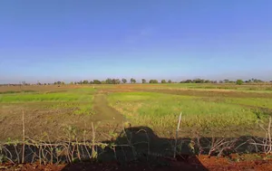 Ratahara, JIWLA, Madhya Pradesh 486003, India preview 3