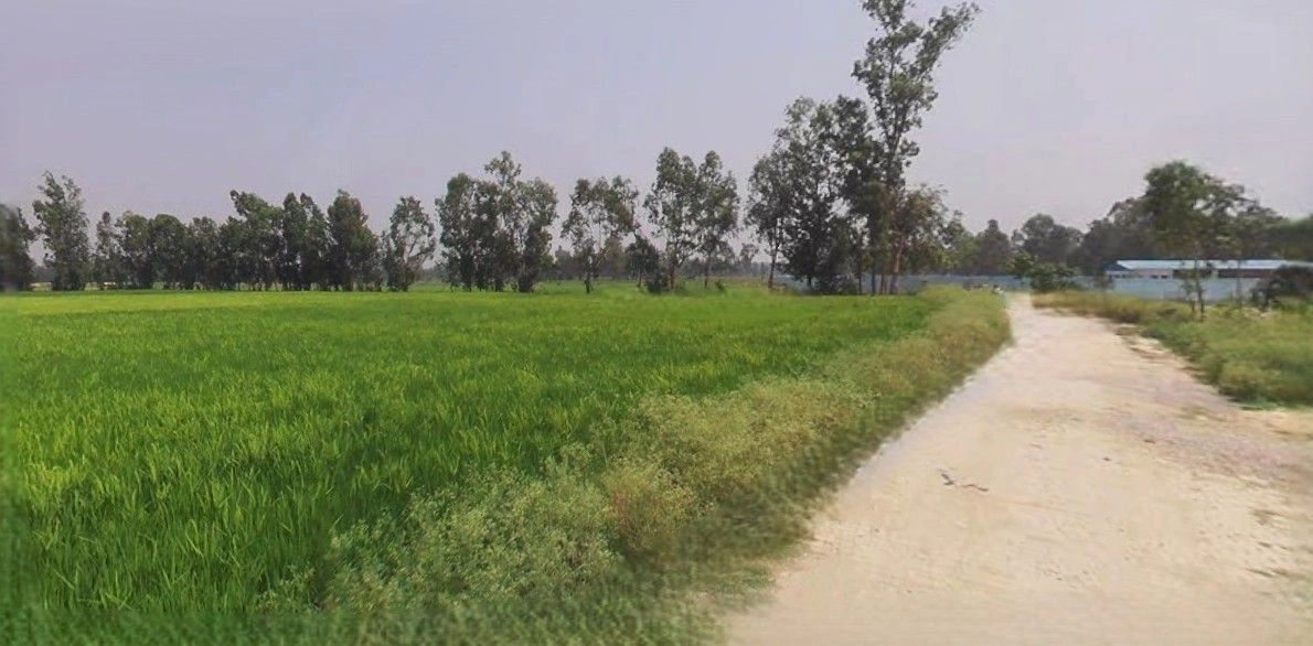 Lalpur, Uttar Pradesh 244924, India preview 3