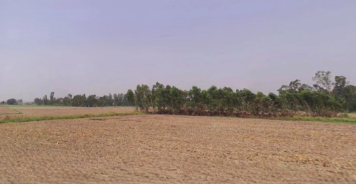 Mithanpur, Uttar Pradesh 246729, India