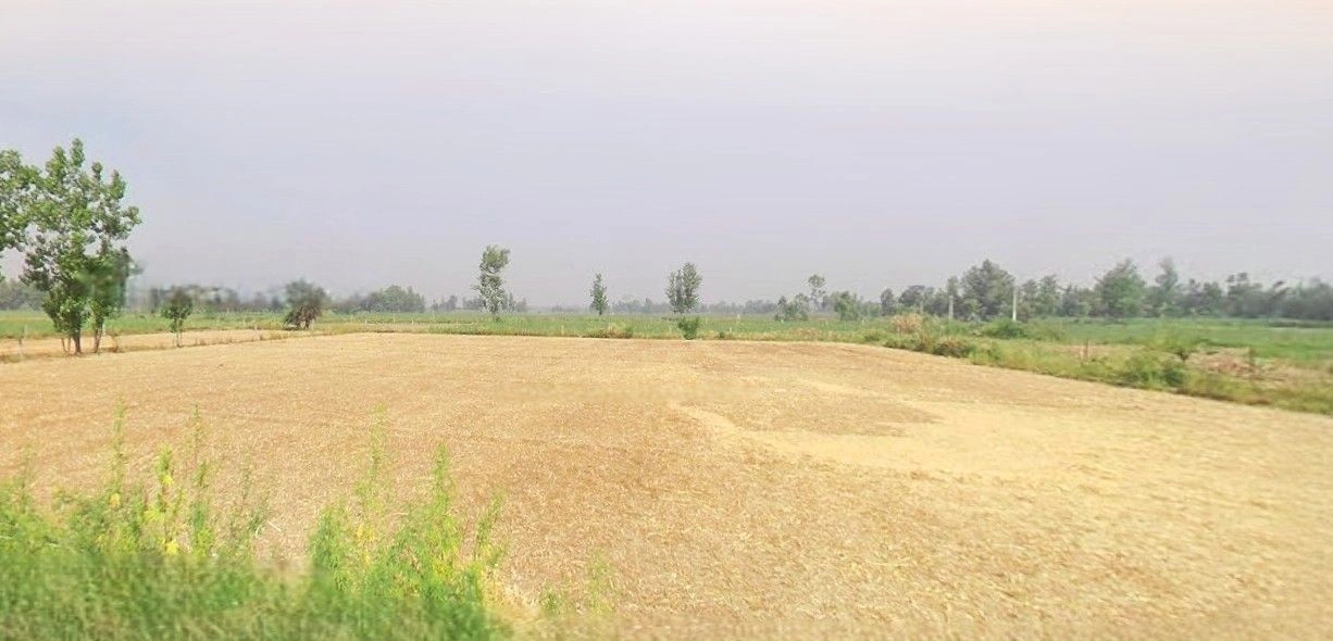 Thakurdwara, Uttar Pradesh 244601, India