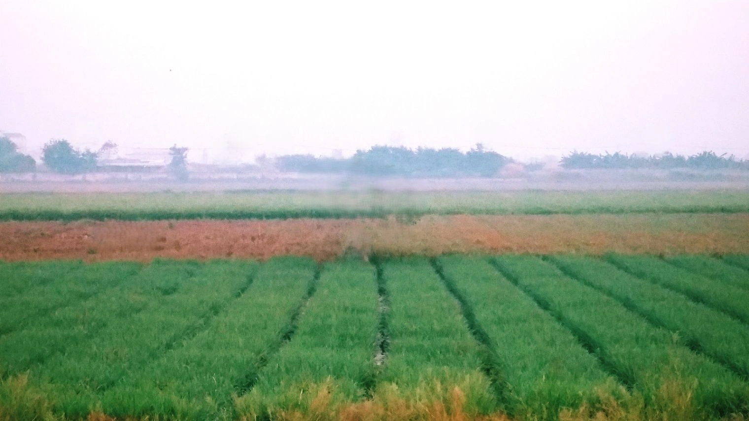 QP86+MX2, Bhadook, Rajasthan, India