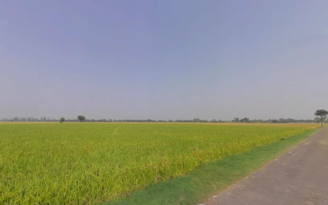 Lehragaga, Punjab 148031, India preview 3