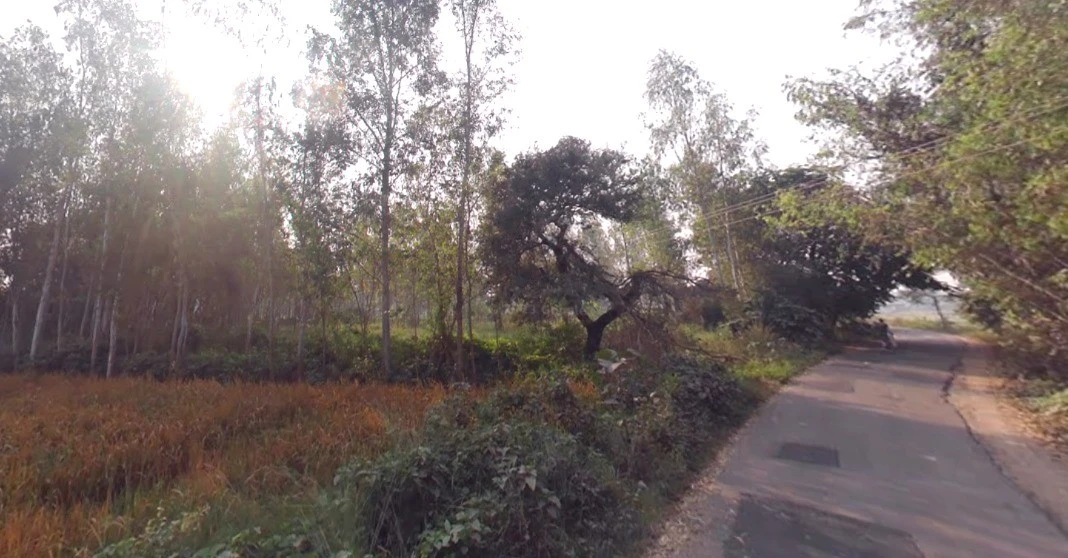 Bhojpur, Madhya Pradesh 464993, India