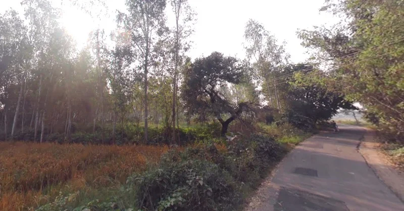 Bhojpur, Madhya Pradesh 464993, India preview 2