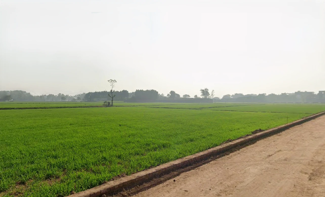 Gokul Dham, opposite ITI, Sector-1, Hansi, Dhana, Haryana 125033, India