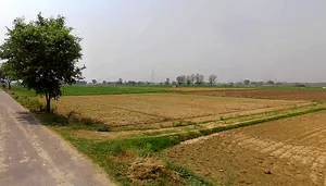 Bijauli, Uttar Pradesh 245206, India preview 2