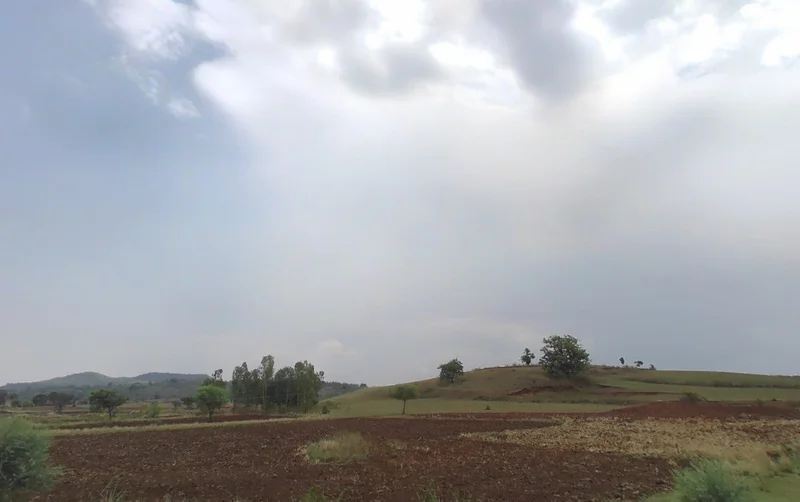 Bagrad, Chhattisgarh 495118, India preview 3