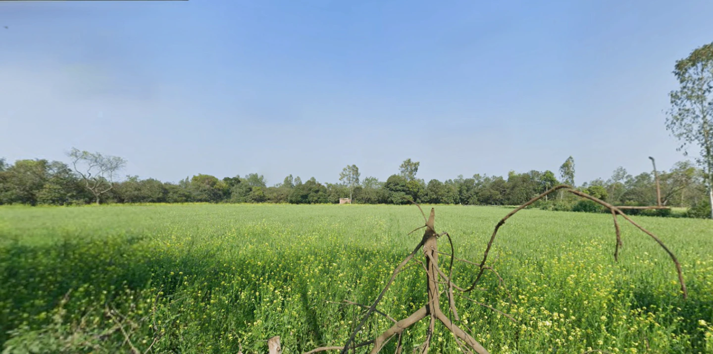 Palia Kalan, Uttar Pradesh 262902, India
