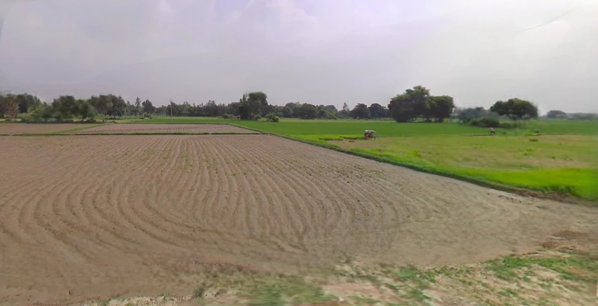 Rewari, Haryana 123401, India