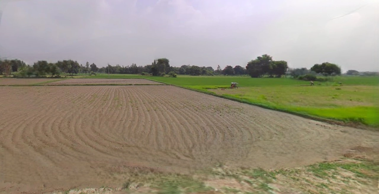 Rewari, Haryana 123401, India