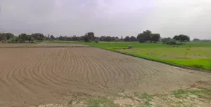 Rewari, Haryana 123401, India preview 3