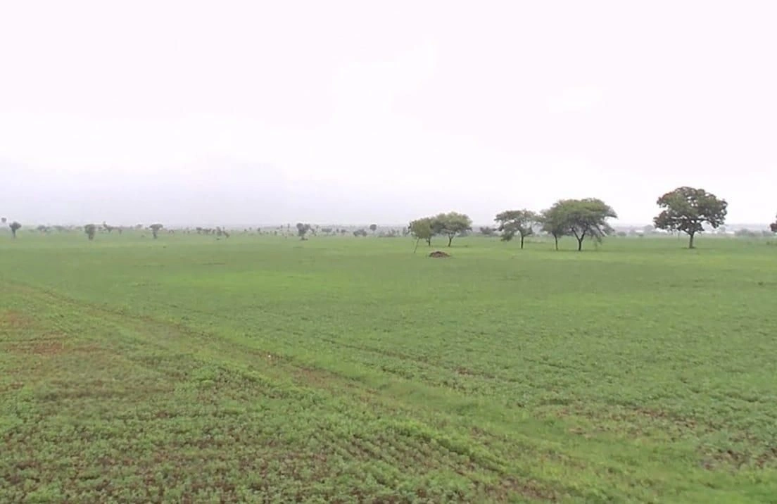 Punasa, Madhya Pradesh, India