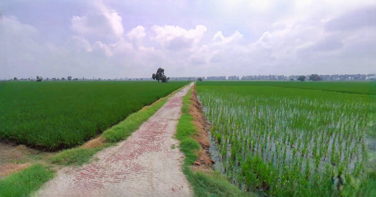 Rohtak, Haryana, India