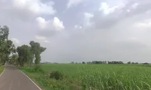 RH84+H5M, Meerut Rd, Modinagar, Uttar Pradesh 201204, India preview 3