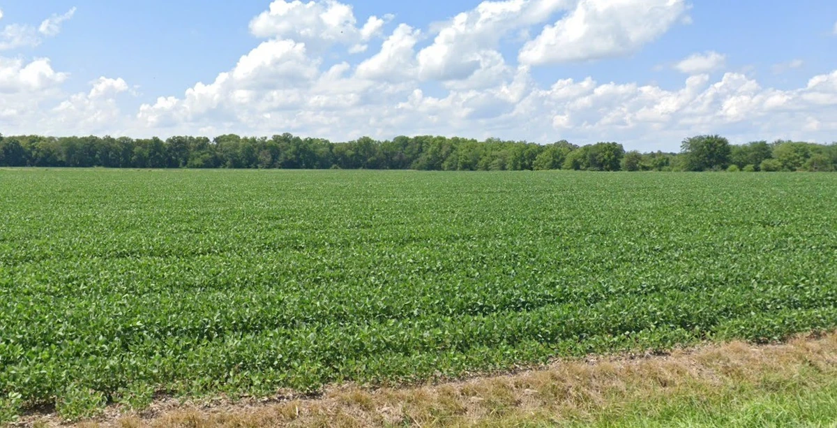 Salokh, Maharashtra 410101, India