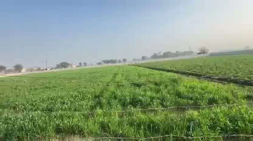 PJCG+85H, Partapur, Uttar Pradesh 245304, India