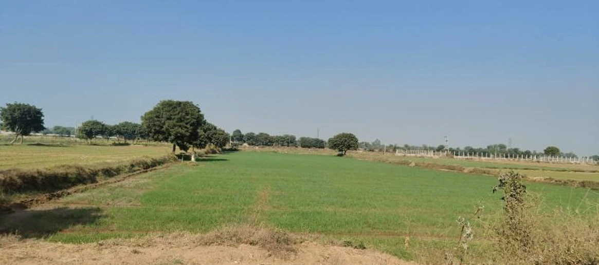 Sikandrabad, Uttar Pradesh 203205, India