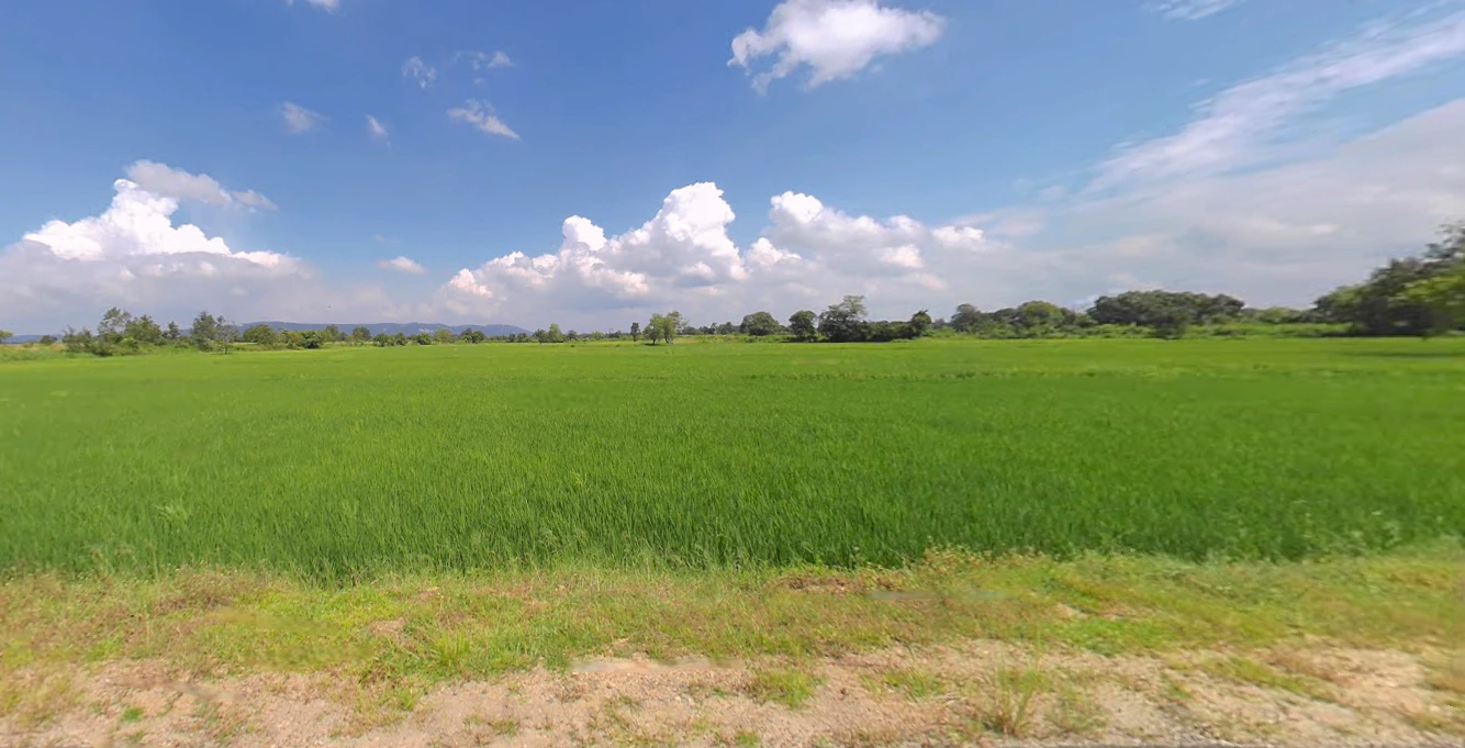 Kuturachuan, Odisha 768222, India