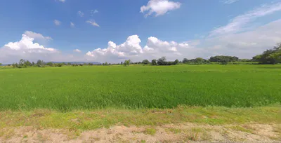 Kuturachuan, Odisha 768222, India preview 3