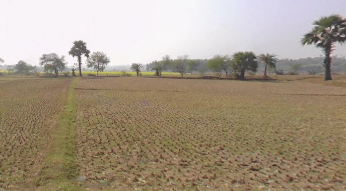 National Highway 19 Bhastara Dhaniakhali rood Gopalpur Gurap, Gopalpur, West Bengal 712302, India