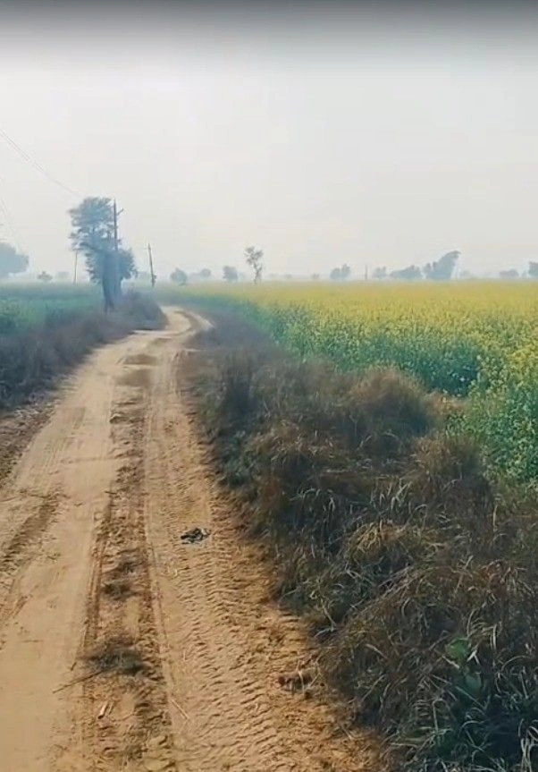 Rajadhok toll plaza, Doodhli, Rajasthan 303301, India preview 2