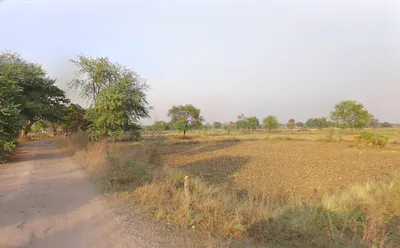 Gatoura, Chhattisgarh 495550, India preview 2