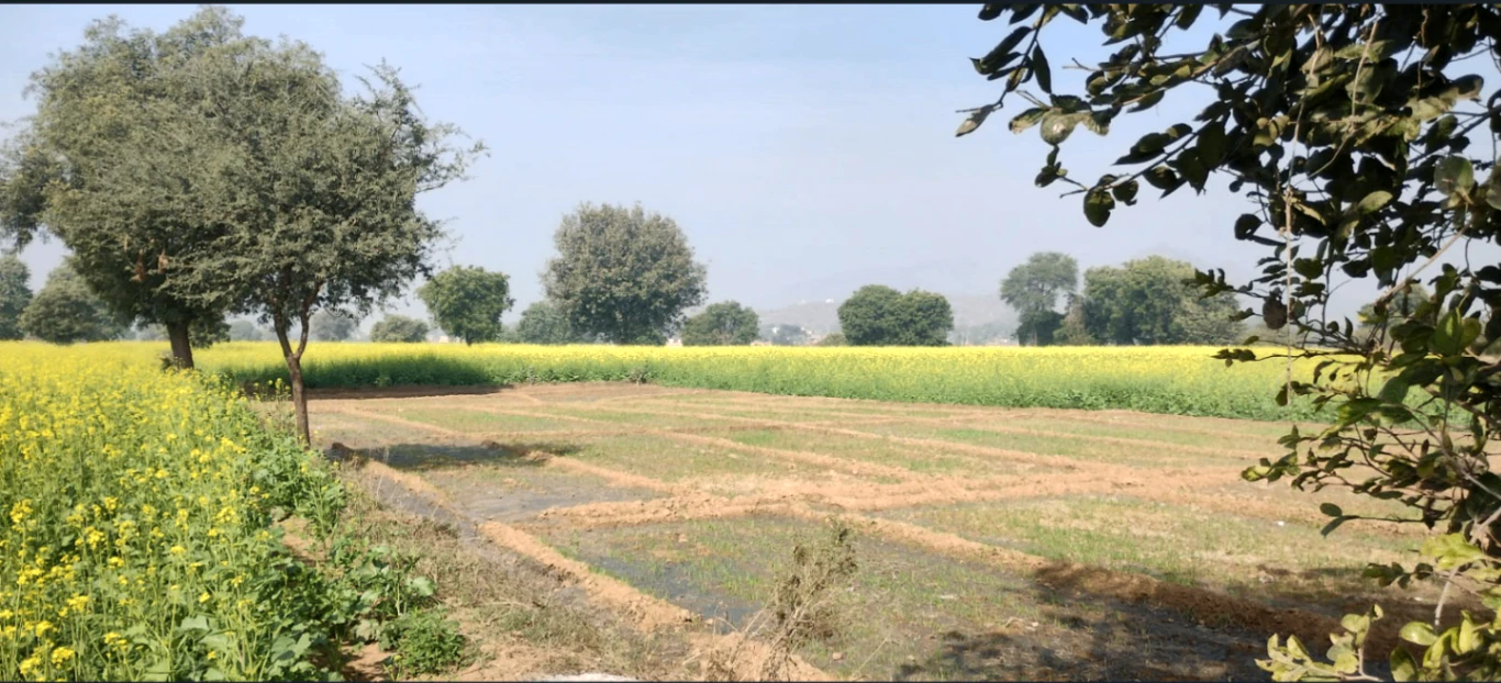 Songir, Indore, Madhya Pradesh, India