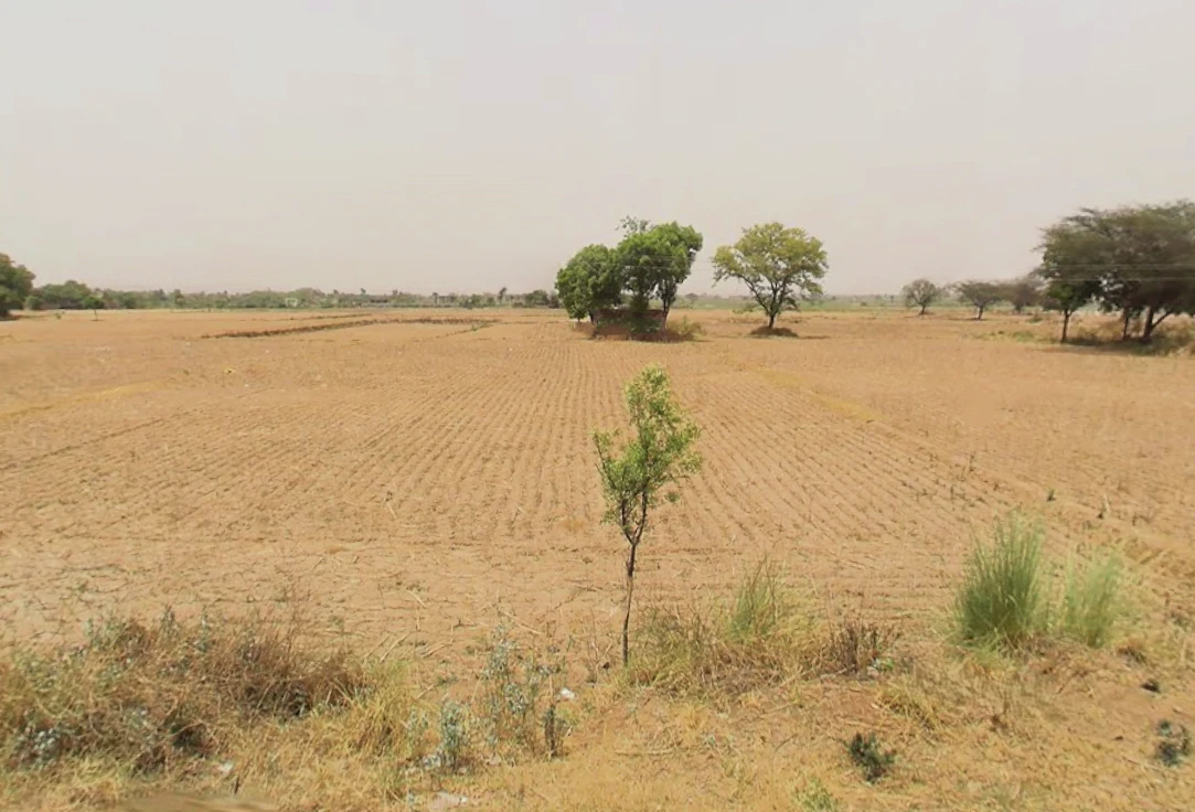 Ghangola, Haryana 122103, India
