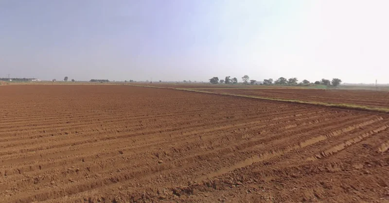 Baspa, Gujarat 384245, India preview 3