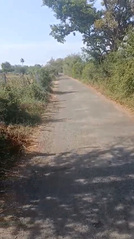 2GVM+F7 Sankara, Aligarh, Uttar Pradesh, India