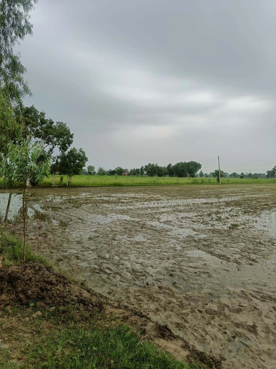 Bukharari, Mathura, Uttar Pradesh, India