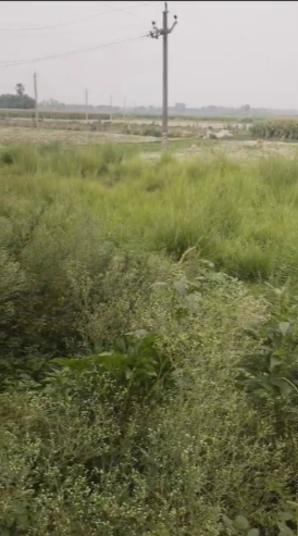 Harwanshpur Banthu, Bihar, India preview 2