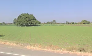 Khajuri, Madhya Pradesh, India preview 3